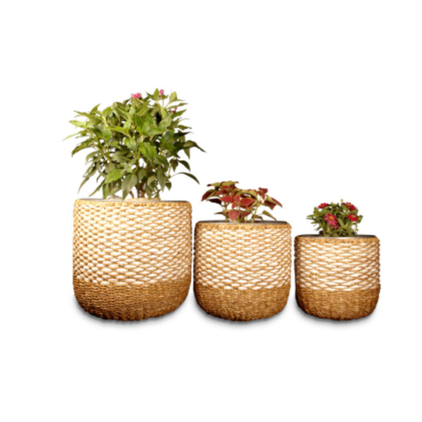 Seagrass Planters - Simply Style Co
